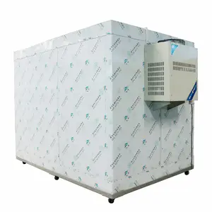 Factory Wall-Mounted Monoblock Refrigeration Unit Small Cold Cabinet Walk In Cold Room Freezing Room Cold Storage For Storage