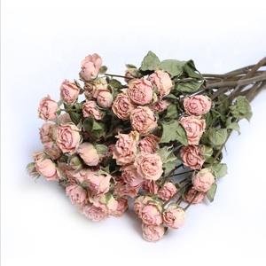 <span class=keywords><strong>Bouquet</strong></span> de roses séchées, 100 pièces, pour décoration de Table - Product Image 6