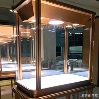 Vitrine de présentation de luxe sur mesure en acier inoxydable antique à pieds fins pour montres, musées et expositions