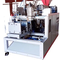 Machine de moulage par soufflage à 2 cavités Machine de fabrication de bouteilles en plastique Contrôleur de détergent 5l pour machine de moulage par soufflage