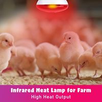 Nouvelle Lampe Chauffante en Verre Durable LUCKY HERP 250W/150W avec Ampoule R20 120V Lumière Rouge pour Poulets, Reptiles et Animaux de Compagnie – Vente Chaude 2026