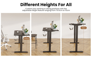 Scrivania per Computer con Motore Singolo Essenziale, Tavolo da <span class=keywords><strong>Lavoro</strong></span> Regolabile <span class=keywords><strong>in</strong></span> Altezza per Casa e <span class=keywords><strong>Ufficio</strong></span>, Facile da Montare - Product Image 2