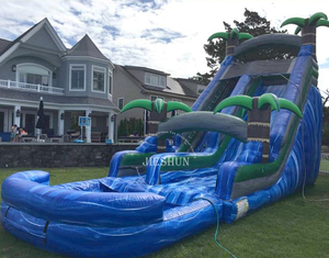 24ft Single Lane Trượt Nước Nhiệt Đới Với Hồ Bơi - Product Image 4