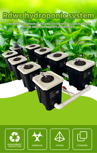 Rdwc 8 Xô Tuần Hoàn Hệ Thống Thủy Canh Nhỏ Giọt Thủy Lợi Máy Bơm Không Khí Và Chu Kỳ Bơm Bản Sao Xô Thủy Canh Container - Product Image 3