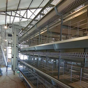 Automatische Batterij Laag Kippenkooi Apparatuur Voor Pluimveebedrijf Voor Kippen Duiven Vogels Verkoop Eierlaag Kippenhok - Product Image 1