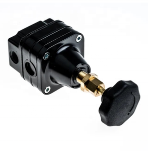 NEW-SPOT 11-818-110 11-808-980 Régulateur pilote - Product Image 2