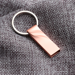 Chất Lượng Hàng Đầu Kim Loại Keyring U Đĩa Biểu Tượng Tùy Chỉnh Tốc Độ Cao 1Tb <span class=keywords><strong>USB</strong></span> 2.0 3.0 Flash Pen Drive 512MB 256MB 128GB 64MB - Product Image 5