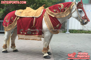 Costume de cheval traditionnel indien pour l'entrée du marié lors du Baraat, en velours, design léger - Product Image 6