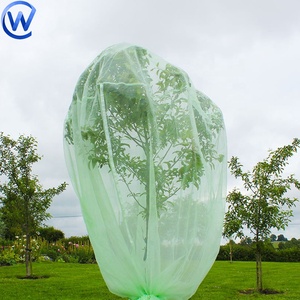 Trái Cây Bảo Vệ Túi Lưới Màu Xanh Lá Cây Tránh Côn Trùng Túi Lưới Trái Cây Bảo Vệ <span class=keywords><strong>Palm</strong></span> Ngày Túi Lưới Cho Vườn Rau - Product Image 3