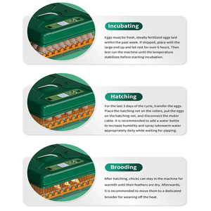 Công suất trứng 128 cung cấp năng lượng kép tự động độ ẩm gà trứng ấp trứng Máy Ấp Trứng - Product Image 4
