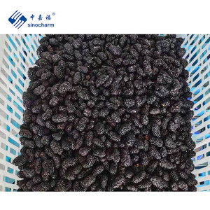 Sinocharm Fabrication <span class=keywords><strong>de</strong></span> mûrier entier IQF <span class=keywords><strong>de</strong></span> fruits <span class=keywords><strong>de</strong></span> congélation approuvés par BRC Mûrier congelé - Product Image 6