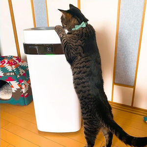 <span class=keywords><strong>Purificateur</strong></span> <span class=keywords><strong>d</strong></span>'<span class=keywords><strong>air</strong></span> intelligent Airdog X5 pour animaux domestiques, élimination des odeurs et des poils <span class=keywords><strong>de</strong></span> chiens et <span class=keywords><strong>de</strong></span> chats - Product Image 6