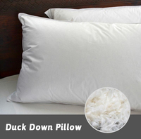 Usine En Gros Hiver Doux Confortable De Luxe Oie 95% Duvet 5% Plume Oreiller