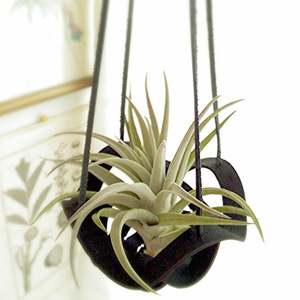 Creative PU leather hanging planter stand, modern minimalist succulent and potted <b>plant</b> <b>basket</b>, suitable <b>for</b> indoor and outdoor - Product Image 3