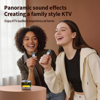 Haut-parleur Karaoké Portable Sans Fil à Succès avec Support Magnétique pour Téléphone, 2 Microphones, Éclairage LED RGB et Étanchéité BT