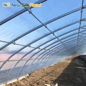 Kit de serre solaire <span class=keywords><strong>passive</strong></span> à portée unique en acier galvanisé de Chine, petite taille, système hydroponique, film PE, vente de plantes - Product Image 2