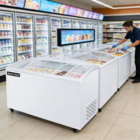 Congélateurs de présentation de crème glacée au prix d'usine, 546 L, congélateur de présentation de sucettes glacées, vitrine de congélation pour crème glacée