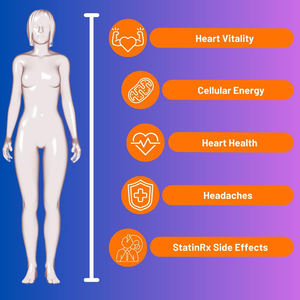 Capsules de CoQ10 de haute qualité pour réduire la fatigue, stimuler l'énergie cellulaire et favoriser la santé cardiaque - Product Image 4