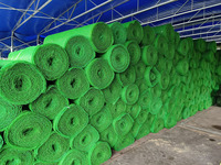 Matelas composite en plastique vert bon marché Érosion de vidange de végétation Géonet 3D pour le contrôle Slop Protéger le paysage