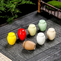 Urne funéraire pour animaux de compagnie en céramique imperméable à l'eau, imprimé léopard, personnalisable, pour petits animaux, design moderne et luxueux