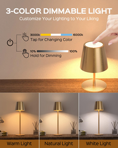 Lampes de table tactiles d'extérieur, lampe de bureau moderne pour chambre à coucher, lampe de table sans fil rechargeable pour bar et restaurant avec port de charge USB - Product Image 4