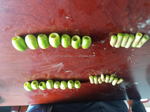 الصناعية زيت الزيتون Pitter تأليب إزالة آلة استخراج - Product Image 2