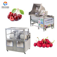 FENGXIANG Kersenreiniger en -ontpitter combinatie set met automatische kantel- en afvoersysteem, belletjeswasser & kersenontpittermachine 200kg/u voor fruitleveranciers