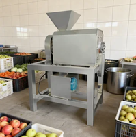 Industriële machine voor hoge productiviteit mango-pulper/fruchtpulp-sapmaker/mango-puree-extractor voor fruitverwerking