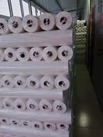 Matériel de couture fusible de couture Double face entoilage Non tissé entoilage TPU matériel avec poids de 10 à 100gsm