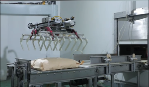 Butilhidroksitoluen Antioksidan Plastik Yaşlanma Karşıtı Ajan CAS 128-37-0 Petrol Katkı Maddeleri için Antioksidan <span class=keywords><strong>1010</strong></span> - Product Image 6