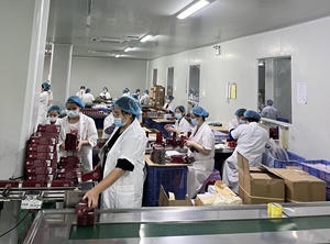 300 мл DAQAN Ready Store алоэ вера собственный бренд корейский успокаивающий увлажняющий 99% чистый натуральный увлажняющий гель для всех типов кожи Алоэ Вера - Product Image 5