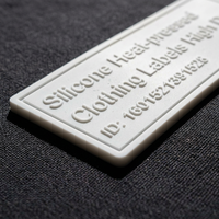 Étiquettes de transfert thermique en silicone 3D personnalisées pour vêtements de sport, patchs en caoutchouc haute densité écologiques pour T-shirts, échantillonnage rapide en 3 jours