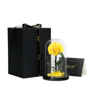 Set regalo di natale di tendenza piccola cupola di vetro rose conservate altre decorazioni per la casa-i migliori regali di Natale - Product Image 2