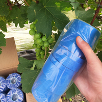 Ruban de fixation en PVC souple givré pour la soutien des plantes, les vignobles et les fermes