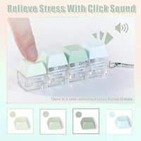 Millantech Fidget Keyboard Switch with Mechanical Click Sound Interactive Light-Up Keycap Plastic Keychain Fidget Keychains