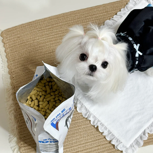 מפעל סיטונאי טוב טעם חם מזון יבש לחיות מחמד 2.5 ק "ג חלבון עשיר המתנע עבור כלבים תבואה חינם - Product Image 1