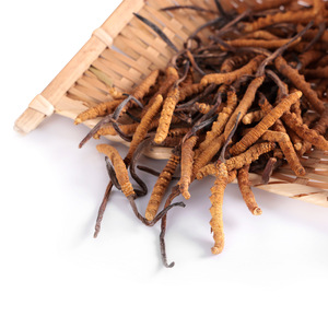 500G Tây Tạng Toàn Bộ Thực Vật Hạ Thảo Tự Nhiên Tiens 100% Thảo Dược Hạ Thảo Sinensis - Product Image 4