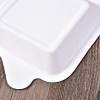 Assiette jetable petite et compostable en fibre de bagasse de canne à sucre blanche en gros pour le camping, les gâteaux et les collations