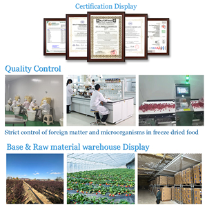 Guoyue Vente en gros Lyophilisation Argousier Morceaux entiers Baies FD Poudre de fruits de baies naturelles pures Lyophilisées Argousier - Product Image 6