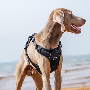 Arnés para Perro en Oferta, al Mejor Precio, Suave y Transpirable, Tipo Chaleco para Dachshund con Correa Reflectante para el Pecho y Correas, Color Sólido <span class=keywords><strong>Teckel</strong></span> - Product Image 5