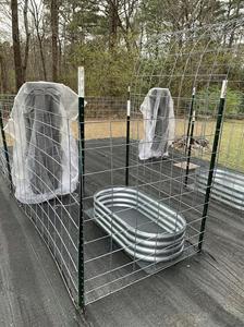 <strong>Farm</strong> <strong>Fence</strong> T Post 6 Ft 7 Ft 8 Ft 10 Ft Green Painted Steel <strong>Fence</strong> Post For <strong>Farm</strong> Ranch Garden Cattle Fencing - Product Image 2