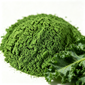 Poudre d'extrait de chou frisé en gros 10:1 20:1 30:1 – Matière première végétale en vrac pour la formulation d'aliments et de boissons - Product Image 2