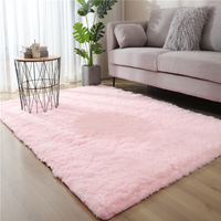 Vente chaude moderne nordique PV fourrure moelleux doux Polyester tapis en peluche sol salon voiture chambre Camping tapis pliable