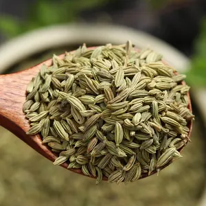 QC Venta al por mayor de especias de semillas de hinojo secas orgánicas de grado premium Paquete original a granel Especias Productos de hierbas