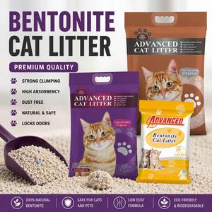 Litière pour chat en bentonite, sable pour animaux de compagnie, sable pour chat, litière sanitaire pour chats, prix de gros 20kg - Product Image 1