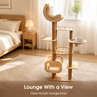 Arbre à chat en bois massif et contreplaqué, capsule spatiale intégrée, condo pour chat, tour à chat multi-niveaux pour usage domestique, chats petits et grands