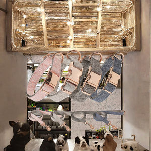 Colliers pour animaux de compagnie en néoprène à motif uni avec logo personnalisé OEM, style moderne, boucle de sécurité réglable, collier pour chien en nylon personnalisé - Product Image 2