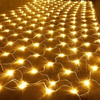 Vente chaude 1.5X1.5M 2X2M 3X2M LED Net Noël Vacances Éclairage Guirlande Rideau Fée Chaîne De Mariage Fête De Pêche Net Lumières