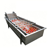 Klantgerichte oplossing voor kleine fruit- en groenteverwerkingslijnen voor de productie van diepvriespulp en -puree