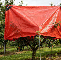Bâche imperméable 20x30 pieds, bâche en polyéthylène 10 mil, bâche extérieure multi-usages résistante aux déchirures, aux UV et aux températures extrêmes